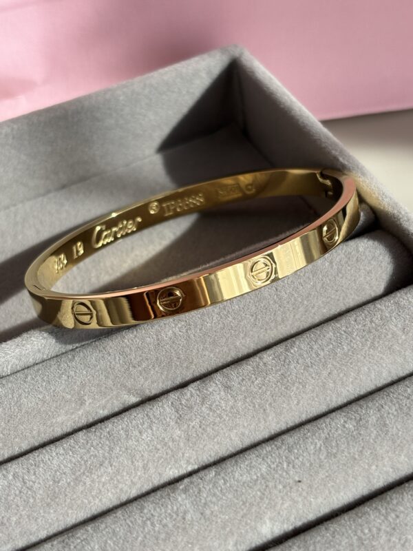 Screw of Love Bangle - Image 2
