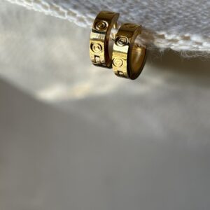 Small Screw Earings