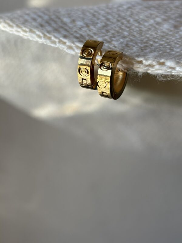 Small Screw Earings