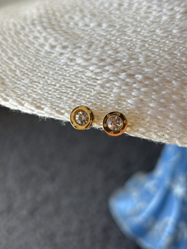Small Charm Earing