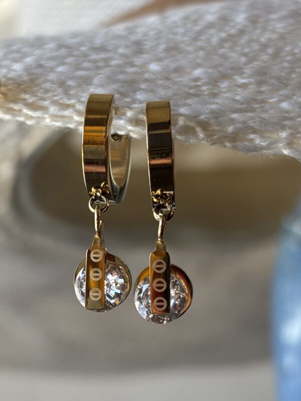 Hanging Charm Earing