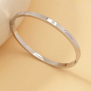 Silver Thin Screw  Bangle
