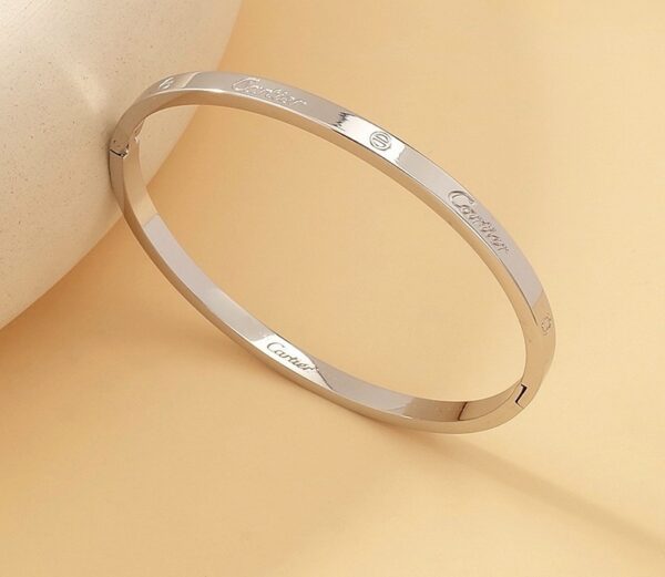 Silver Thin Screw  Bangle