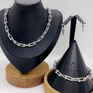 Silver Luxe Link Set